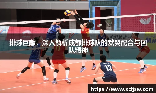 排球巨献：深入解析成都排球队的默契配合与团队精神
