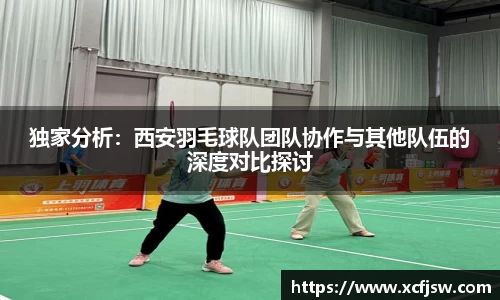 独家分析：西安羽毛球队团队协作与其他队伍的深度对比探讨