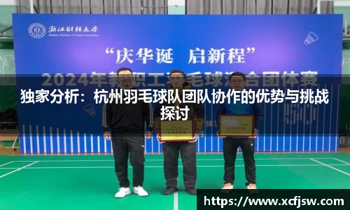 独家分析：杭州羽毛球队团队协作的优势与挑战探讨