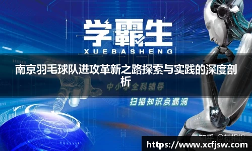 南京羽毛球队进攻革新之路探索与实践的深度剖析