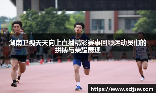 湖南卫视天天向上直播精彩赛事回顾运动员们的拼搏与荣耀展现