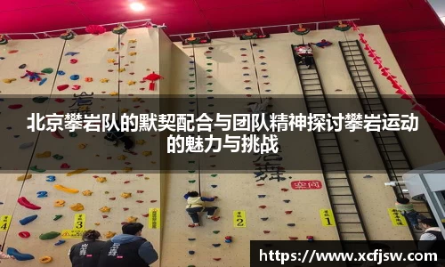 北京攀岩队的默契配合与团队精神探讨攀岩运动的魅力与挑战