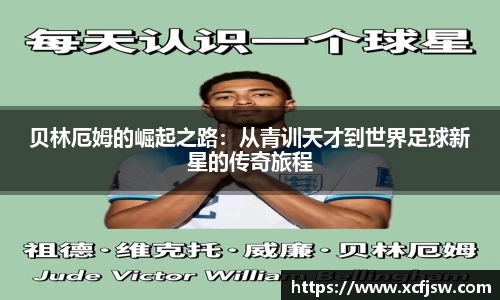 BoB半岛·体育中国官方网站